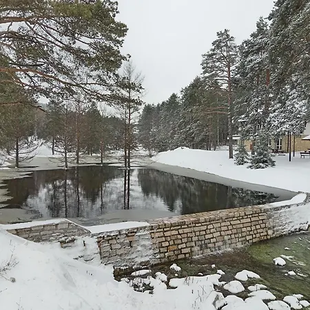 Διαμέρισμα Savic *