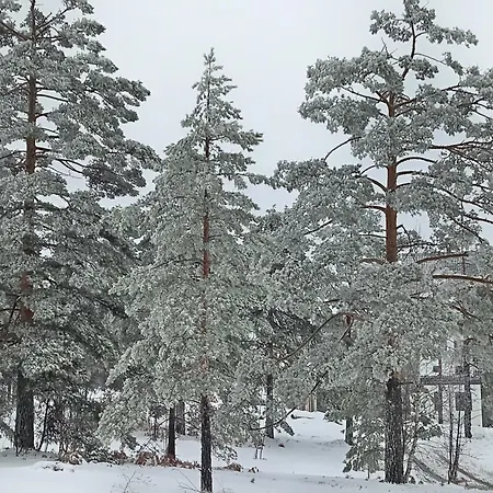 Savic Διαμέρισμα Divčibare