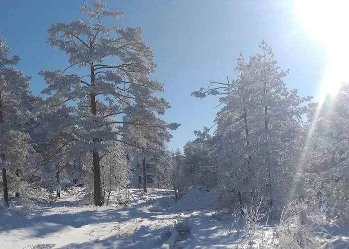 Apartment Savic Divčibare