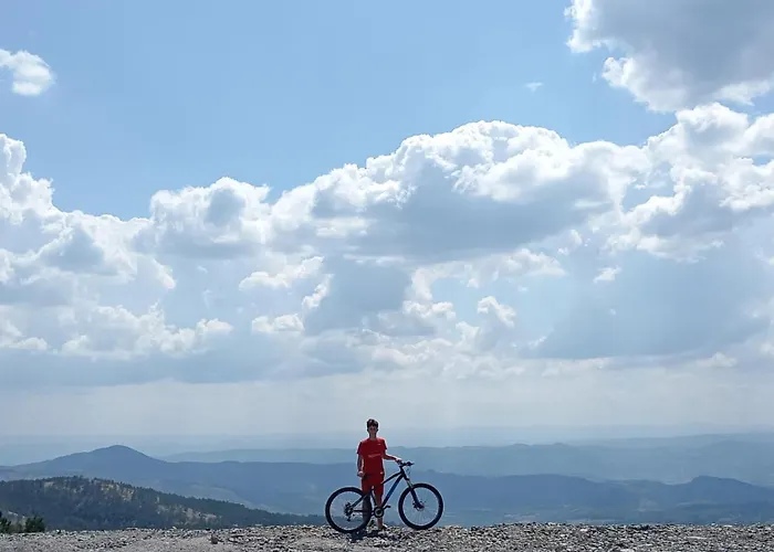 Savic Apartment Divčibare