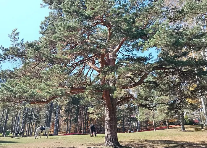 Apartment Savic Divčibare