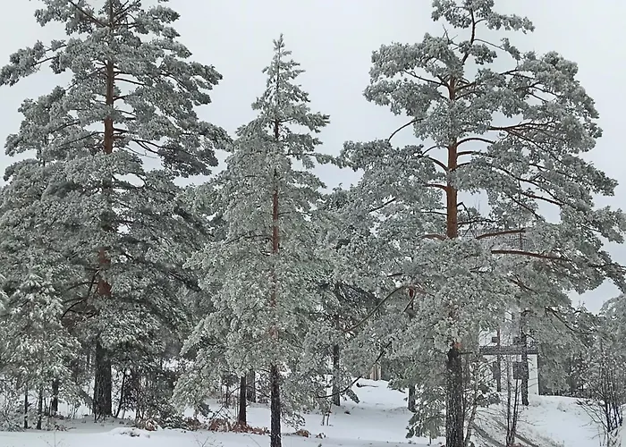 Savic Apartment Divčibare